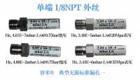 单端1/8NPT外丝
