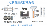 定制背压式标准漏孔