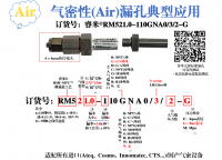 气密性漏孔 RM521.0-110GNA0/3/2-G