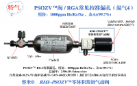 PSOZV™阀/RGA常见标准漏孔（混气4）