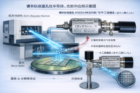 REALMETER® 标准漏孔在半导体材料放气分析系统中的解决方案白皮书（完整版）