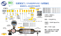 广州有源氮氢气RM5CL-21125VX/6/5T
