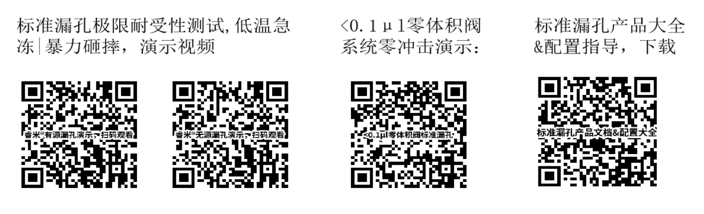 漏孔极限测试视频.png