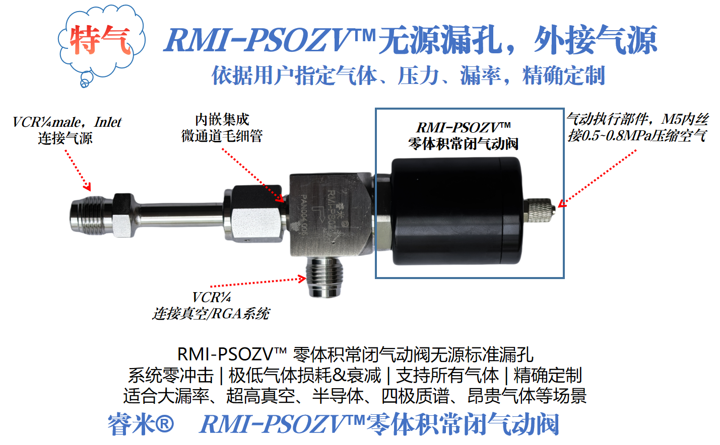 58页-RGA漏孔 无源漏孔.png