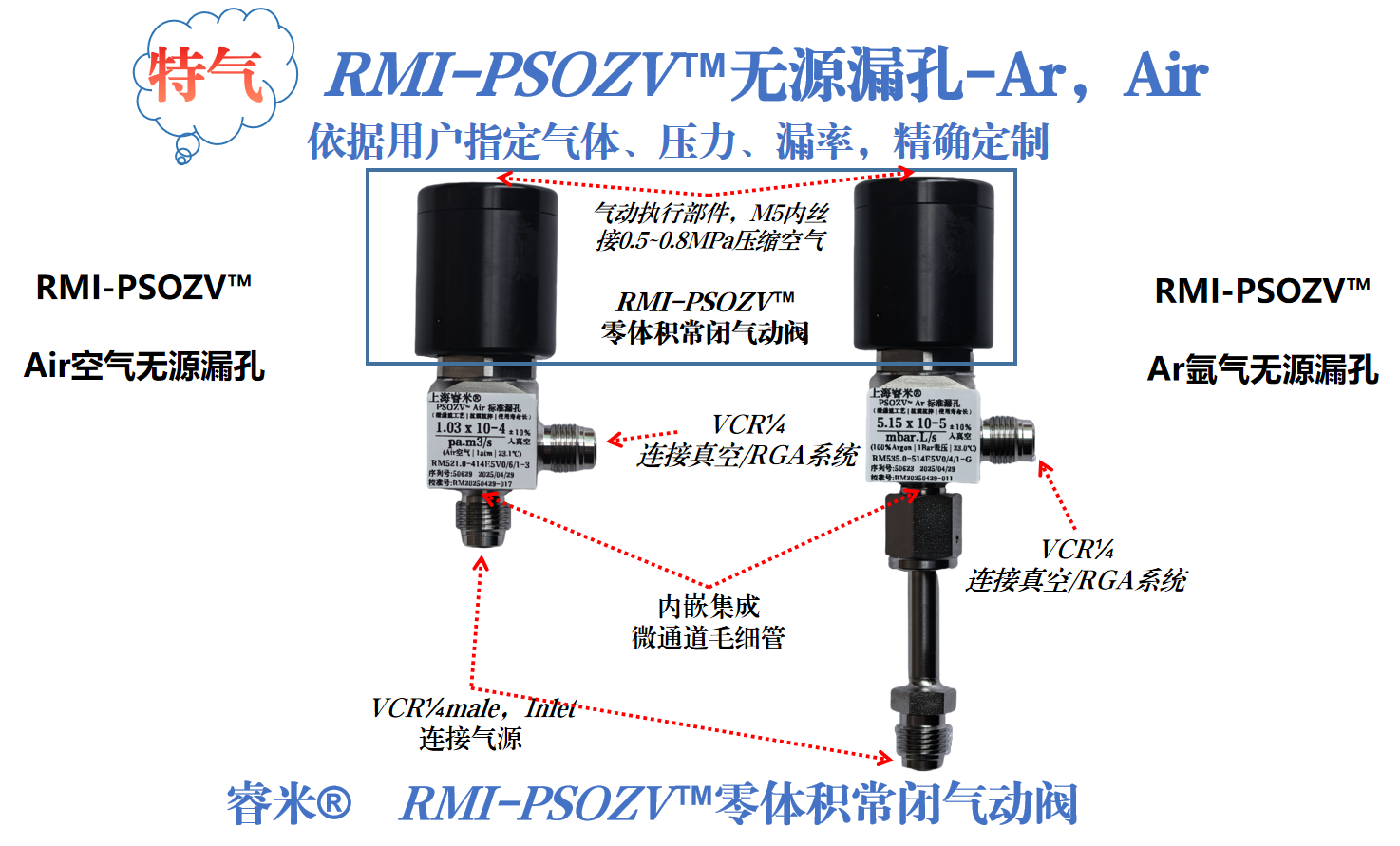 59页-RGA漏孔 无源漏孔Ar Air.png